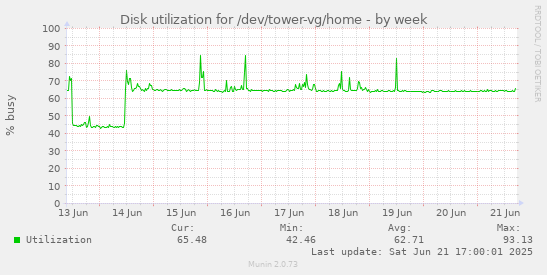 Disk utilization for /dev/tower-vg/home